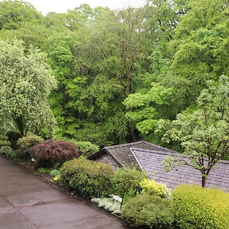 Jenever * アンブルサイド