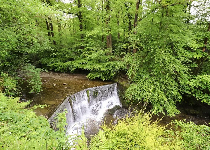 Holiday home Jenever